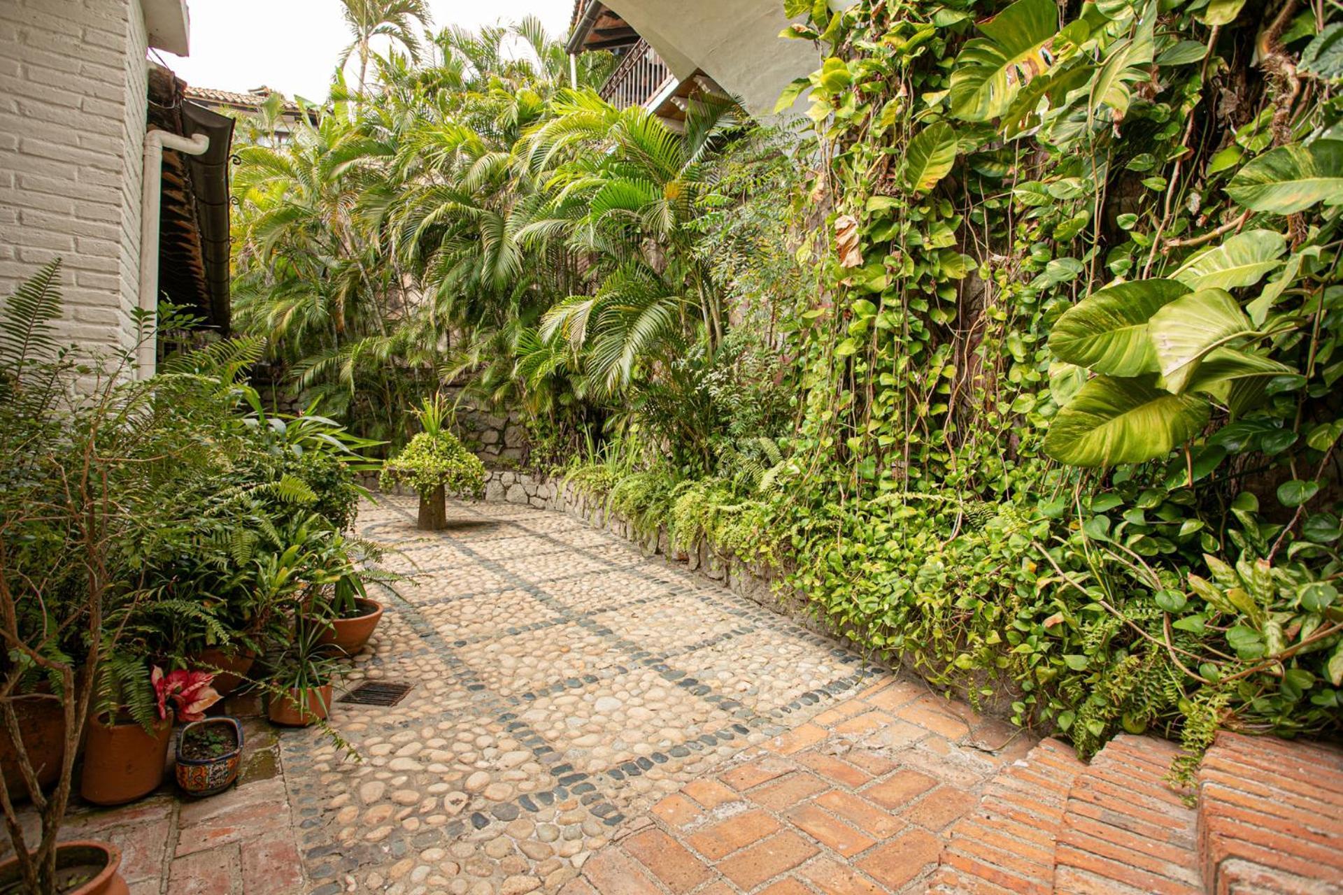 Villa Celeste Puerto Vallarta Eksteriør billede