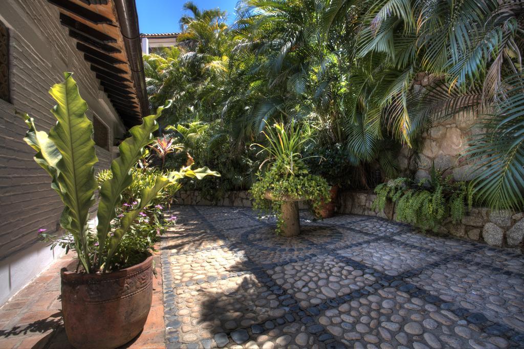 Villa Celeste Puerto Vallarta Eksteriør billede